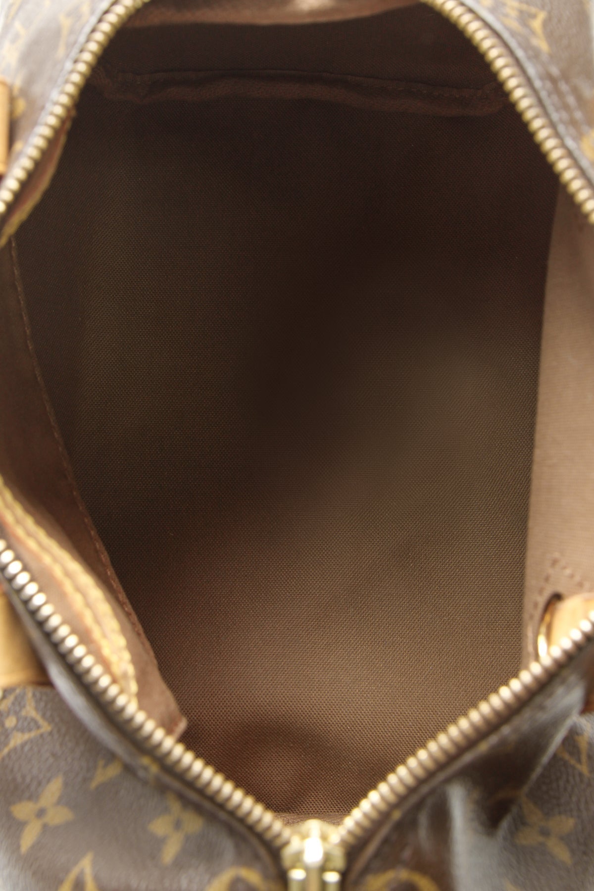 Speedy 25 Bag - Monogram