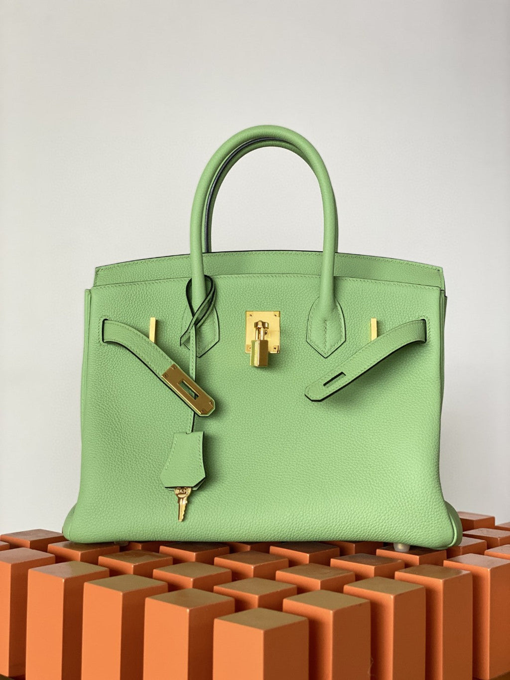 Hermes Birkin 25 Nata Swift Gold Hardware Green