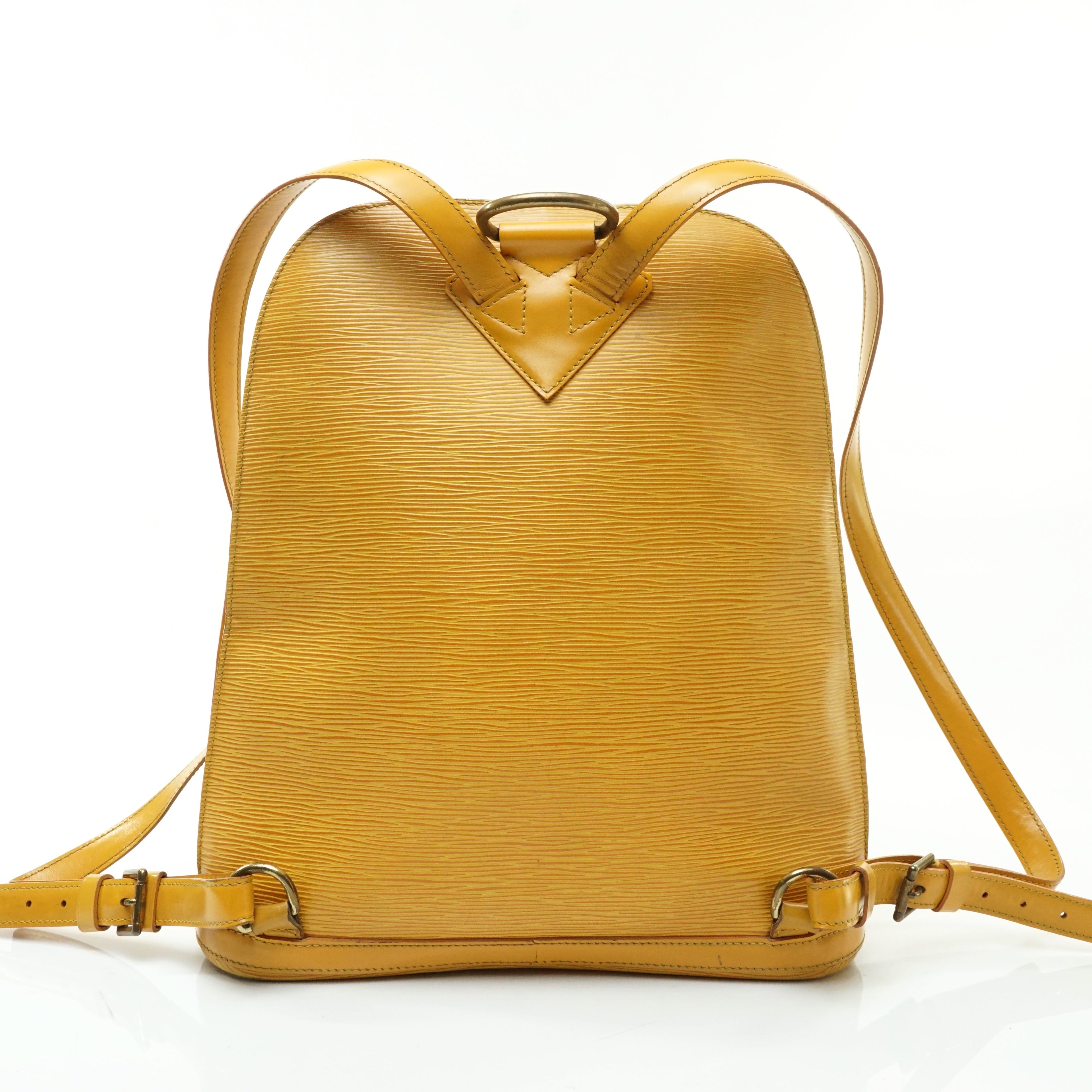 Louis Vuitton Gobelins Back Pack