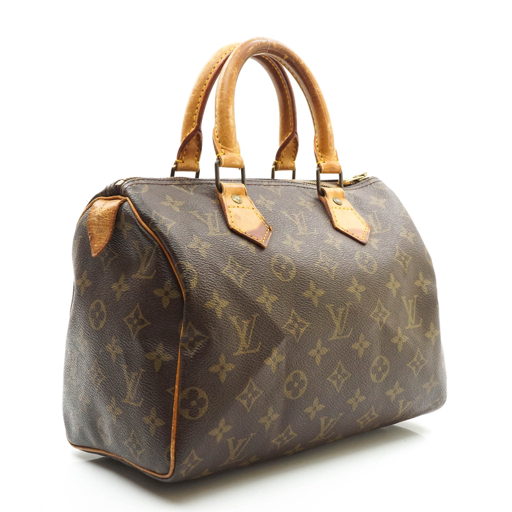 Louis Vuitton Speedy 25 Satchel Bag