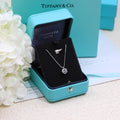 Tiffany & Co Necklace