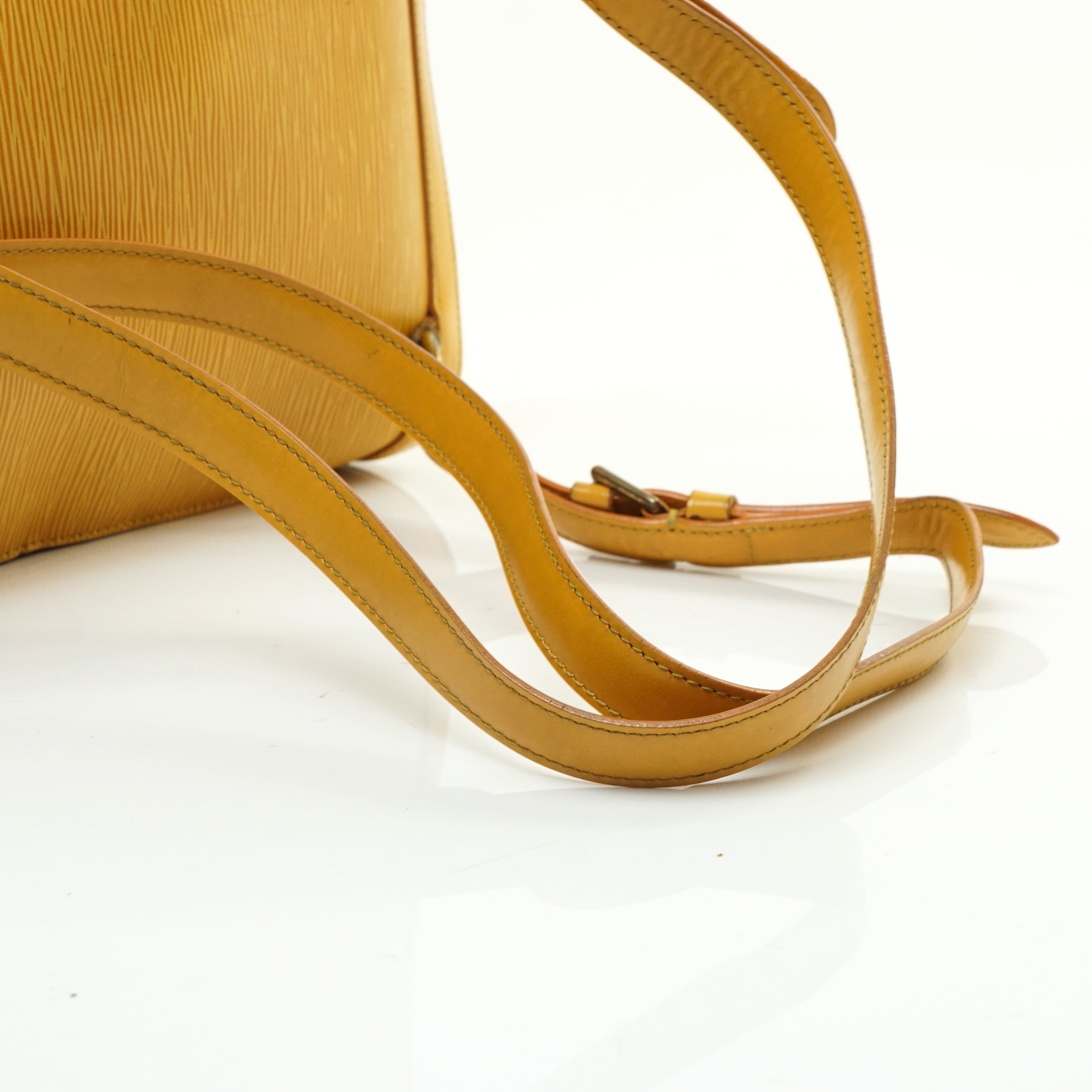 Louis Vuitton Gobelins Back Pack
