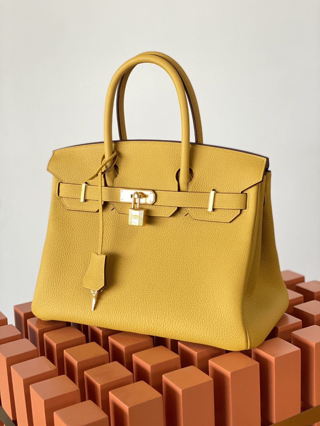 Hermes Birkin 25 Nata Swift Gold Hardware Yellow