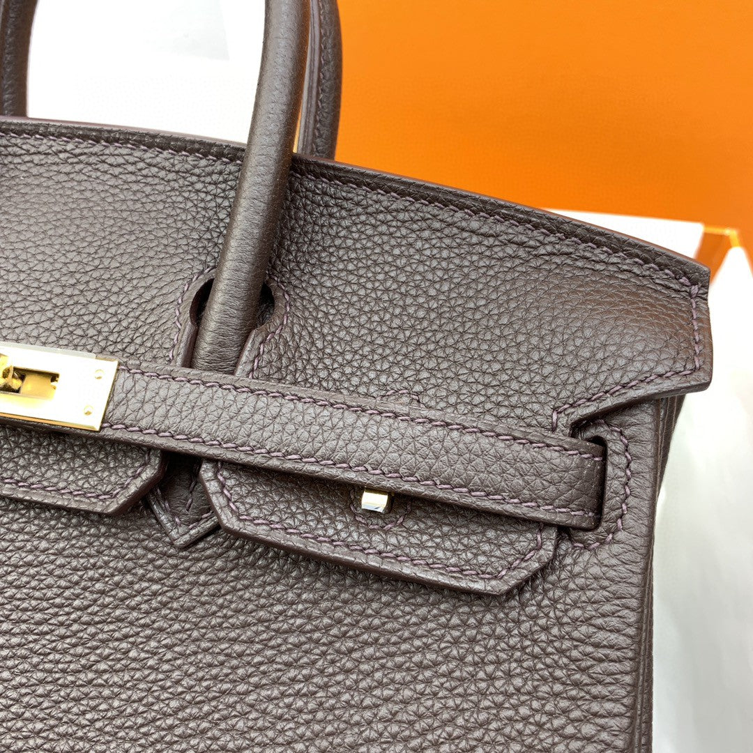 Hermes Birkin 25 Nata Swift Gold Hardware Dark Brown