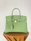 Hermes Birkin 25 Nata Swift Silver Hardware Green