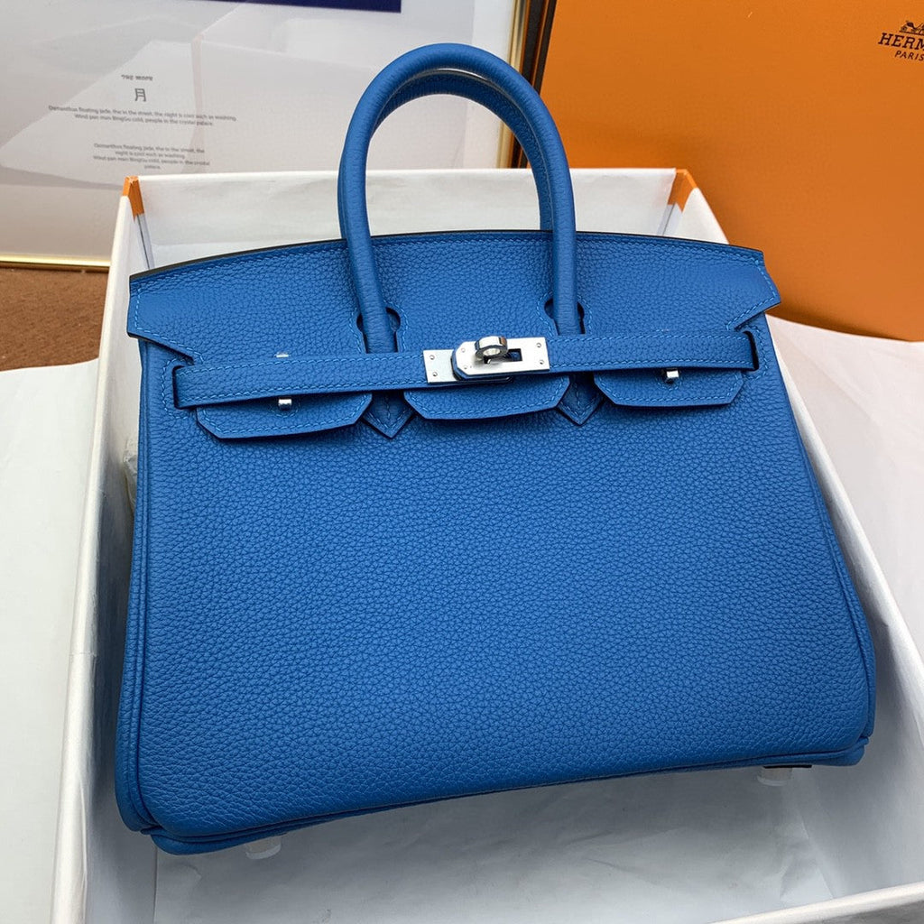 Hermes Birkin 25 Nata Swift Silver Hardware Blue