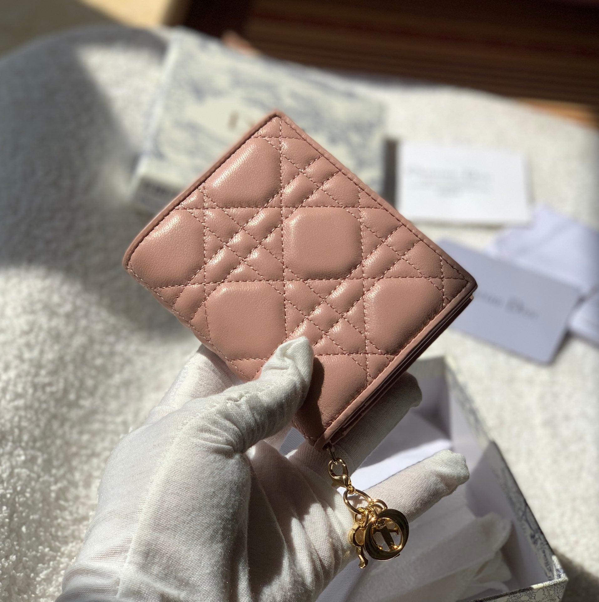 Mini Lady Dior Pink Wallet 11cm