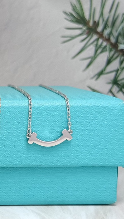 Tiffany & Co Necklace