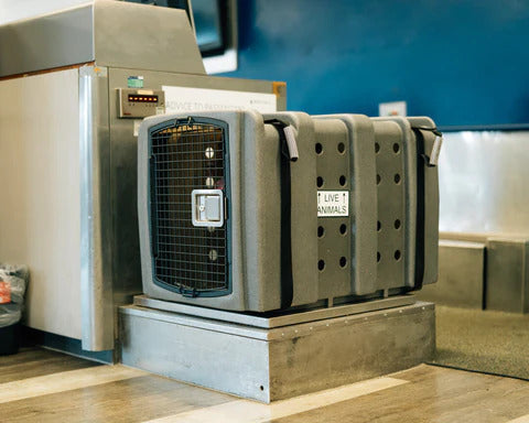 Dakota 283 Jet Stream Airline Approved Dog Crate