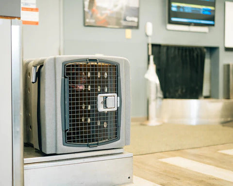Dakota 283 Jet Stream Airline Approved Dog Crate