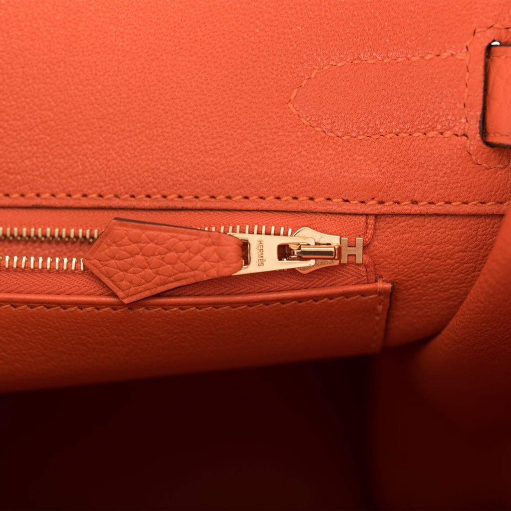 Hermes Feu Clemence Birkin 30cm Gold Hardware