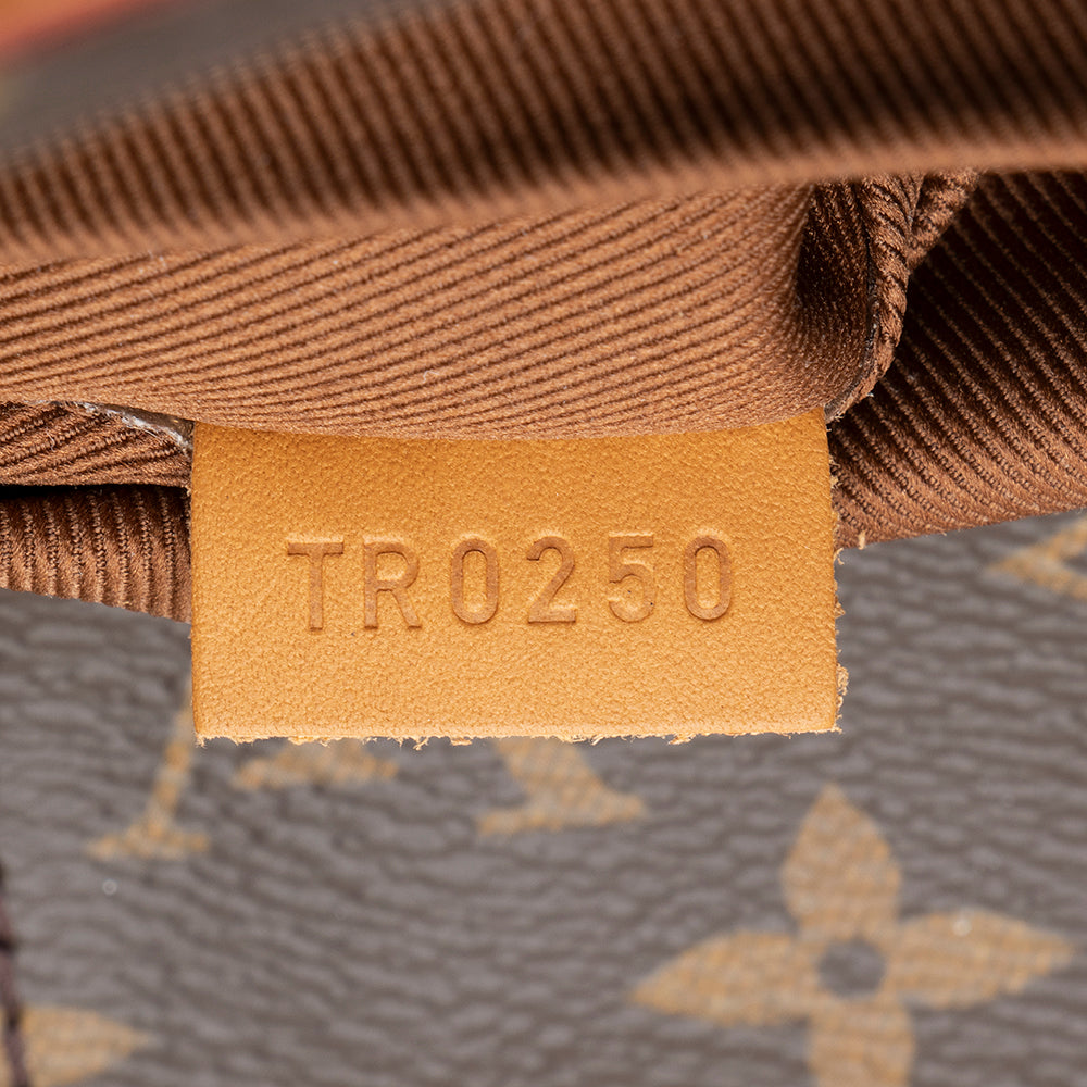 Louis Vuitton Monogram Canvas Steamer PM Tote (SHF-17842)
