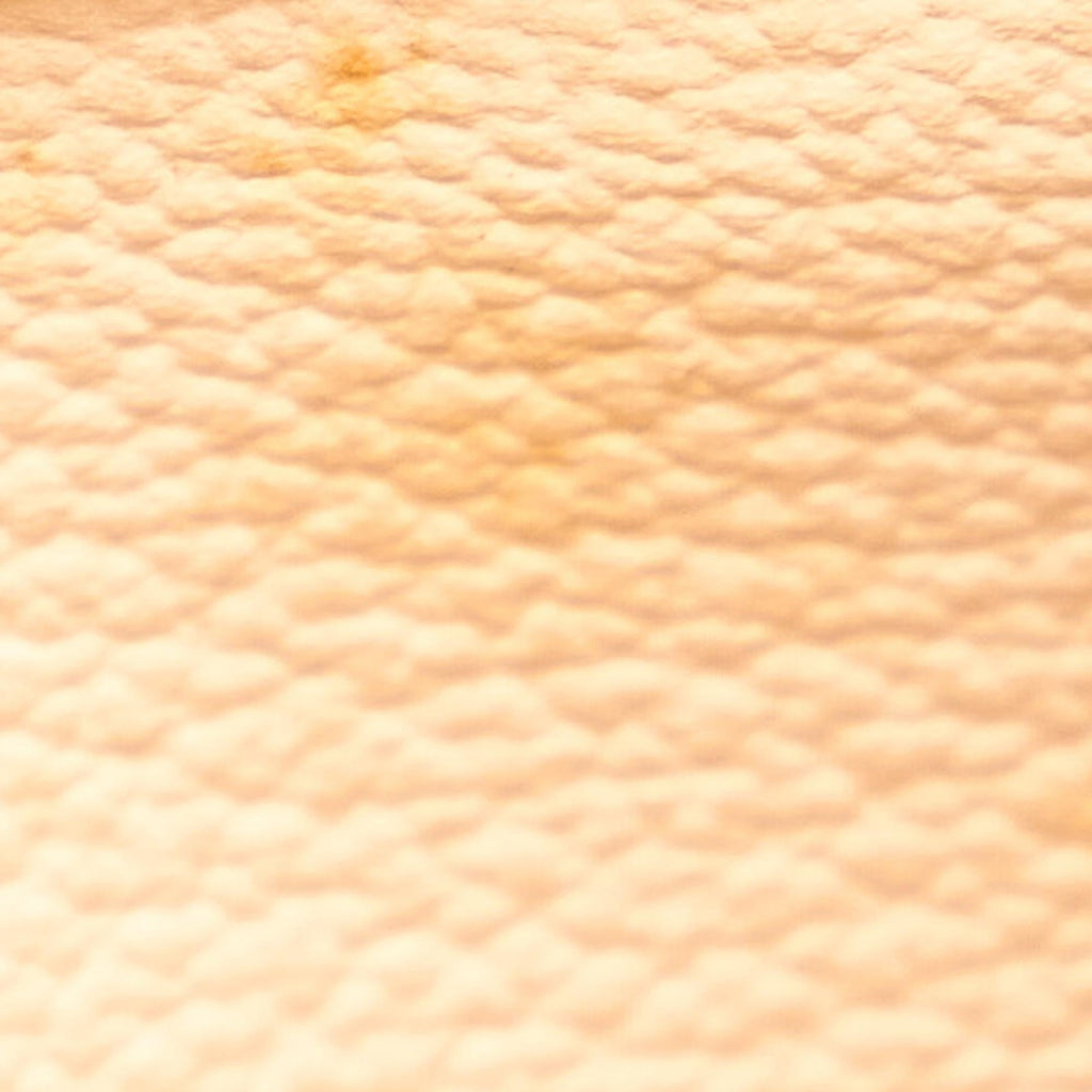 Louis Vuitton Monogram Petit Bucket (SHG-26574)