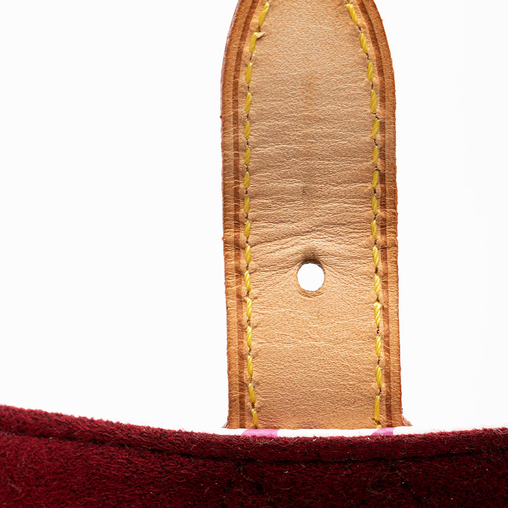 Louis Vuitton Multicolore Eliza Shoulder Bag (SHF-17668)