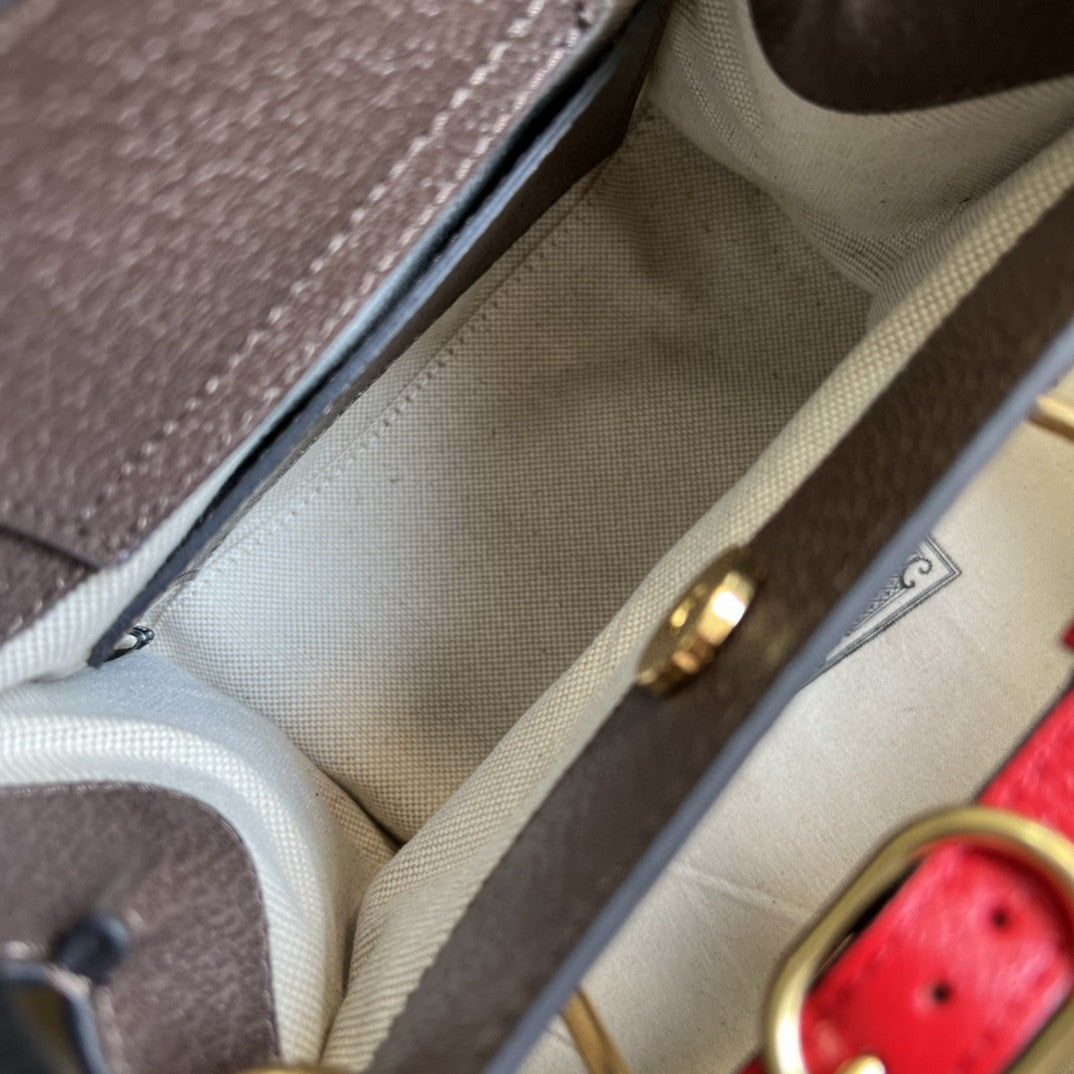 Gucci Ophidia GG Mini Bag 20cm Brown