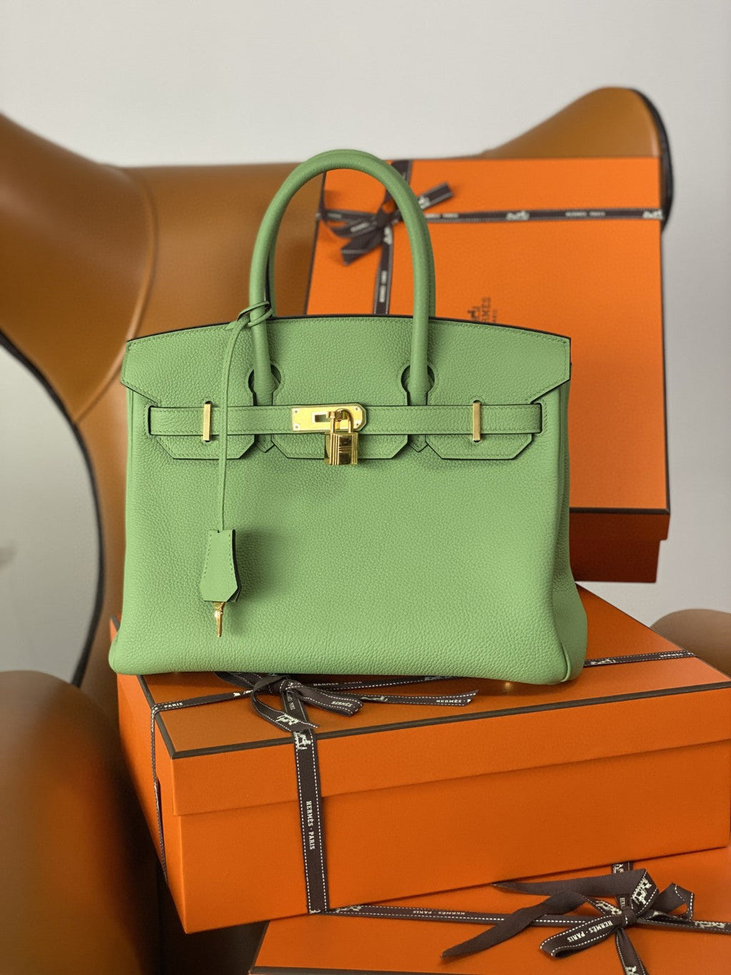 Hermes Birkin 25 Nata Swift Gold Hardware Green