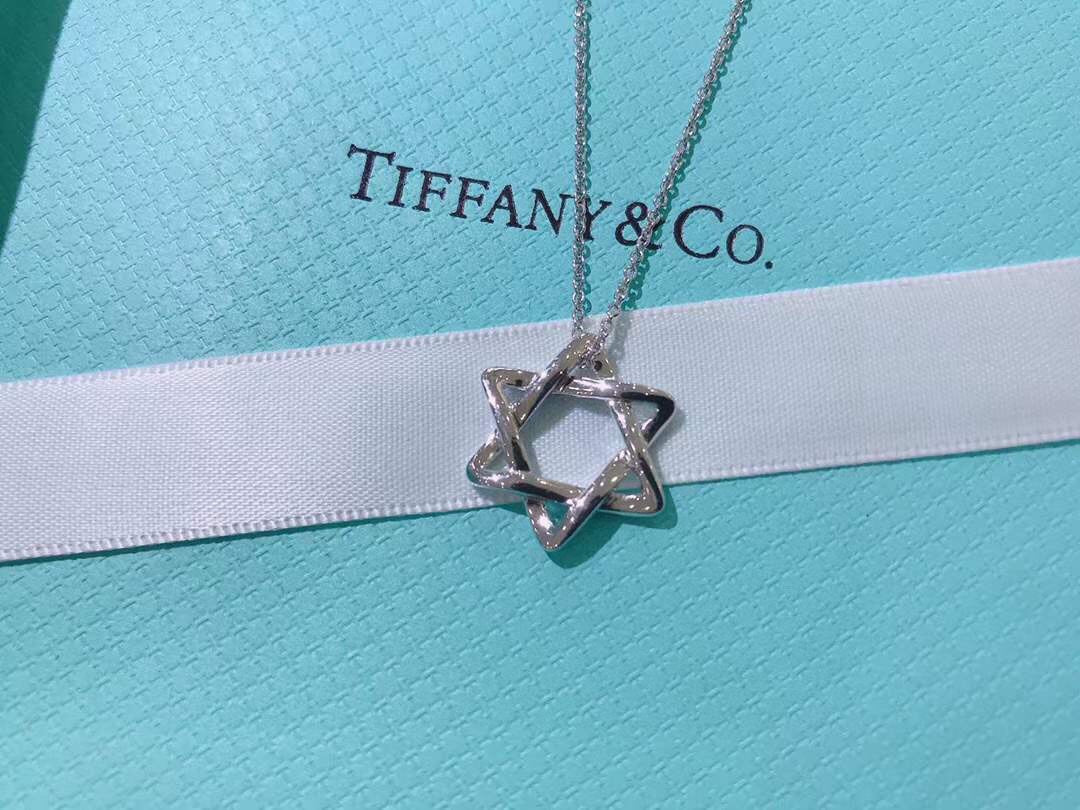Tiffany & Co Necklace