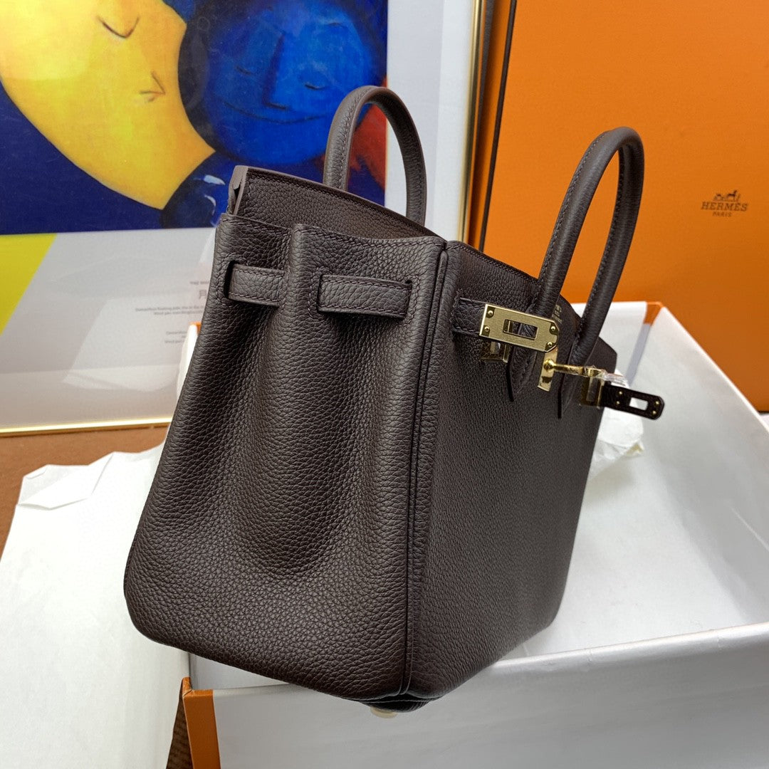 Hermes Birkin 25 Nata Swift Gold Hardware Dark Brown
