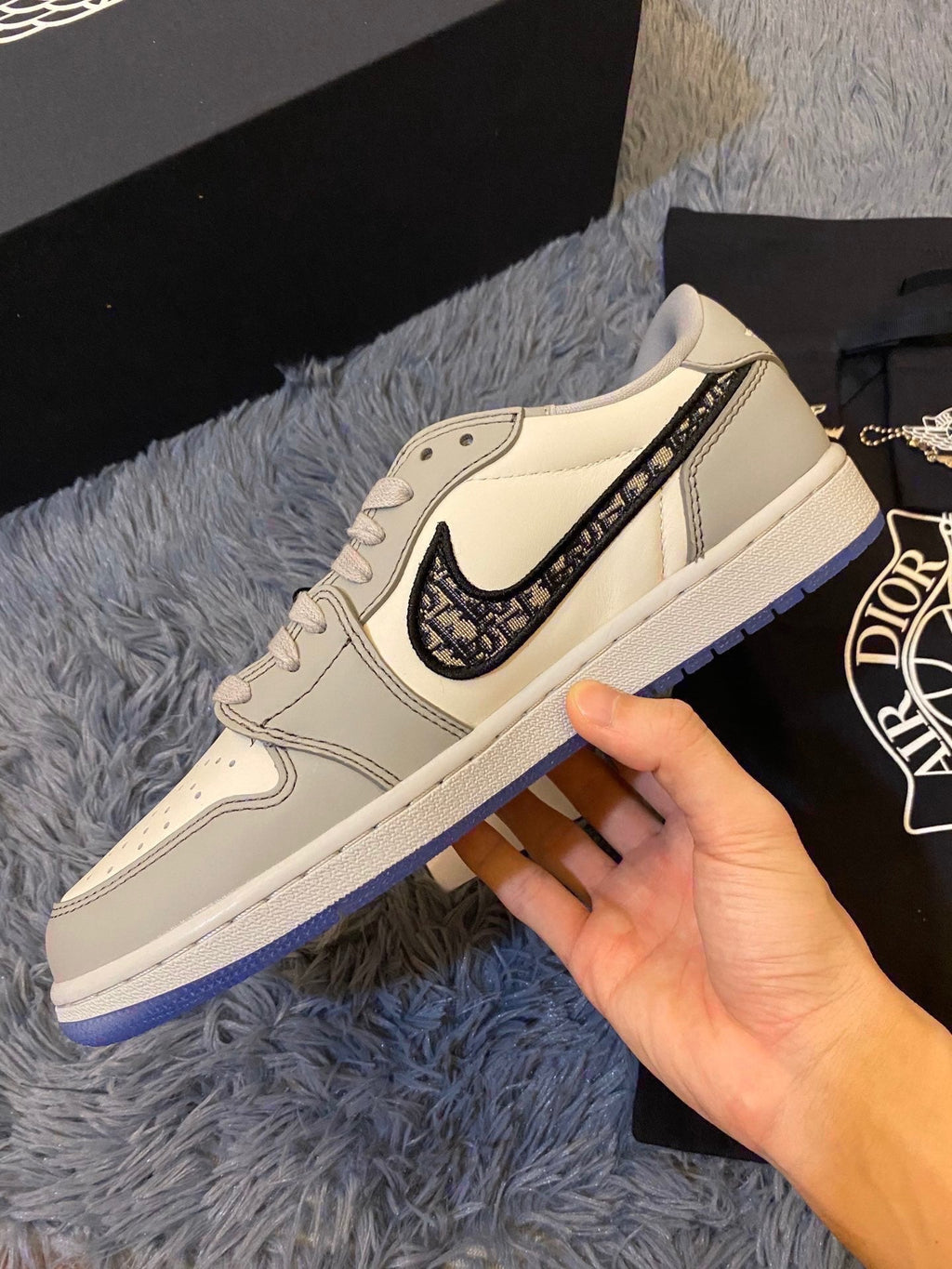 Nike Dior x Air Jordan Low Top Grey Men