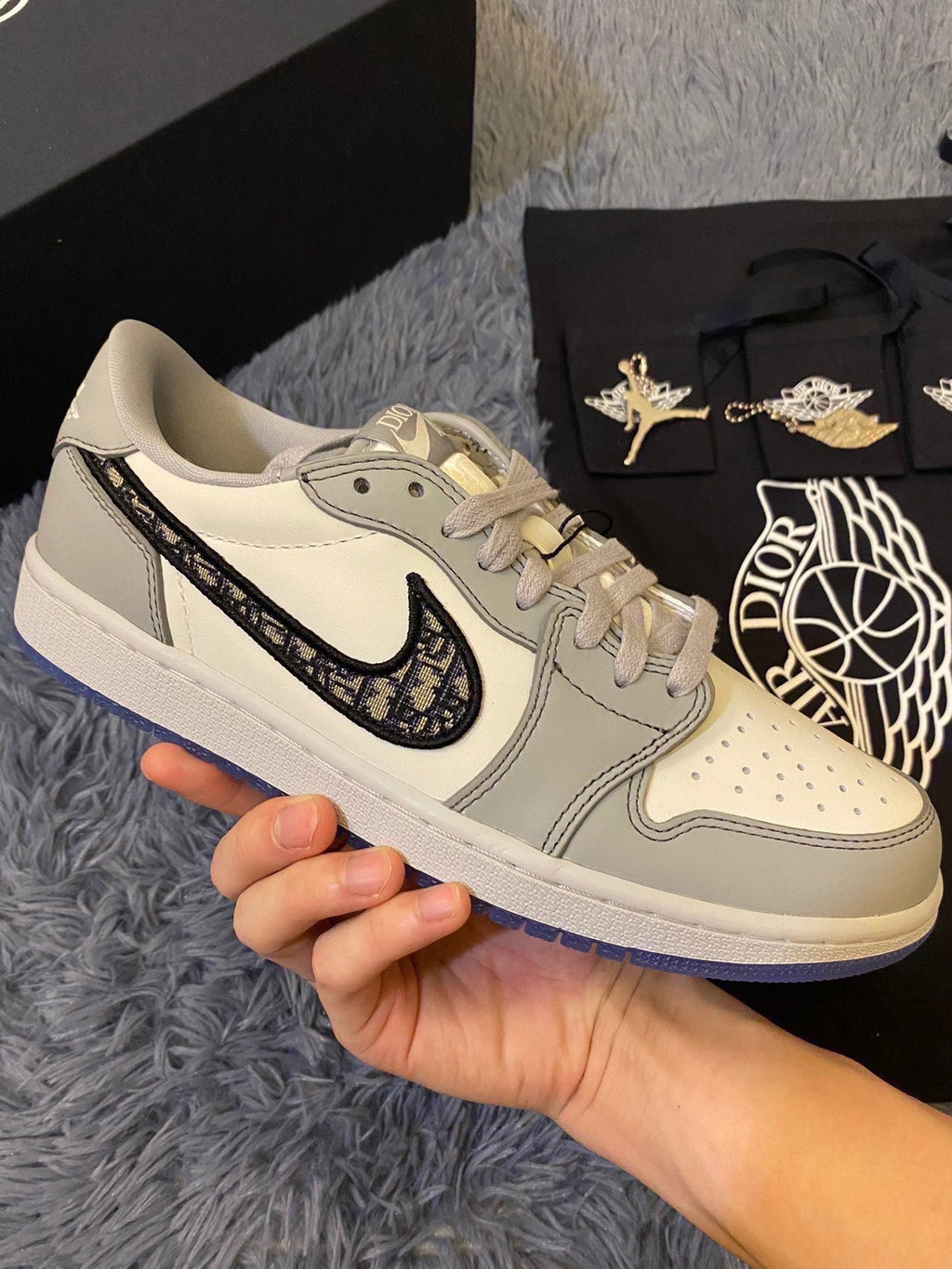 Nike Dior x Air Jordan Low Top Grey Men