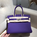 Hermes Birkin Gold Hardware 25cm Purple