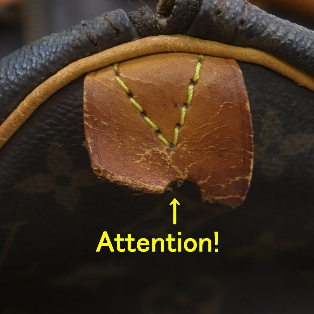 Louis Vuitton Speedy 25 Satchel Bag