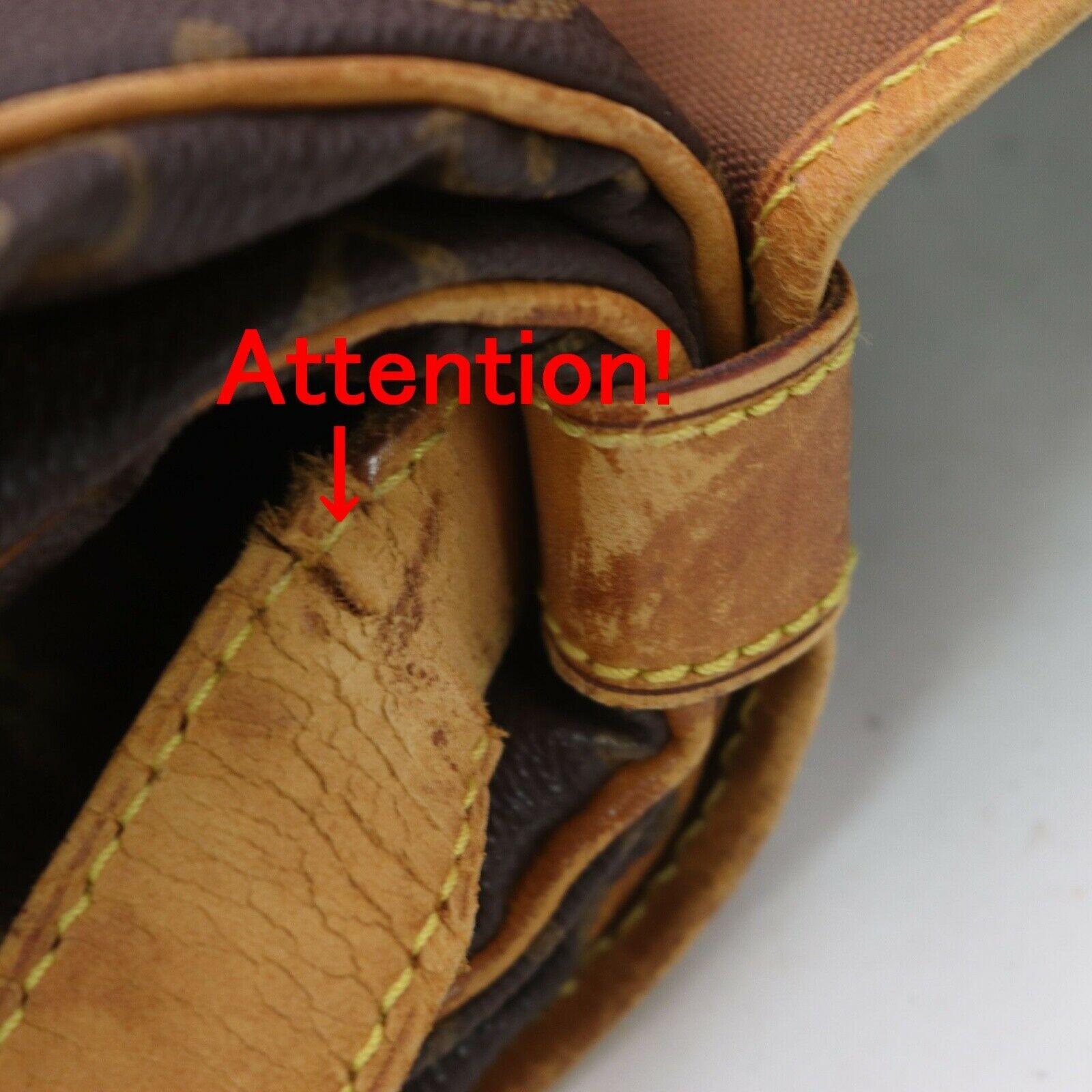 Louis Vuitton Saumur 35 Crossbody