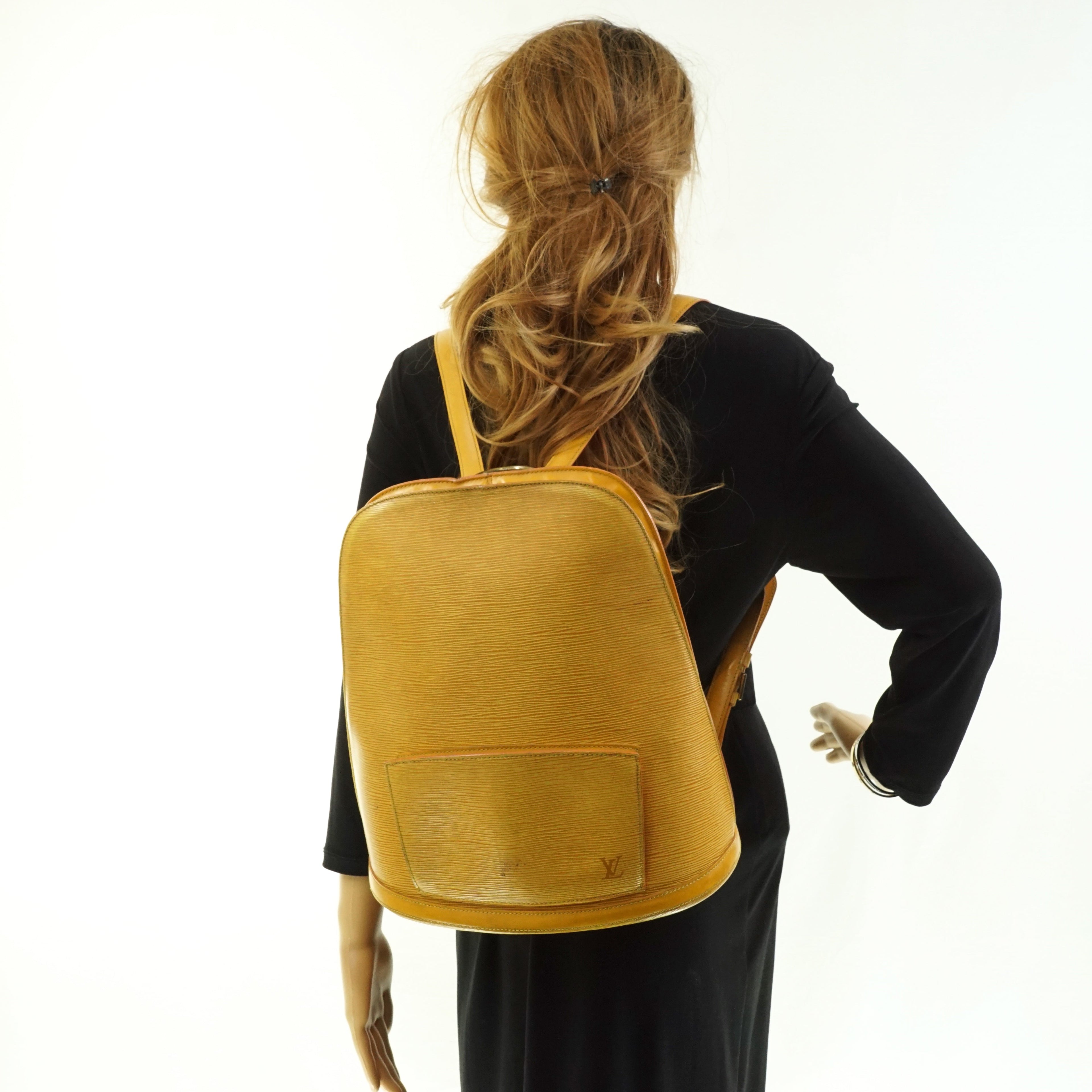 Louis Vuitton Gobelins Back Pack