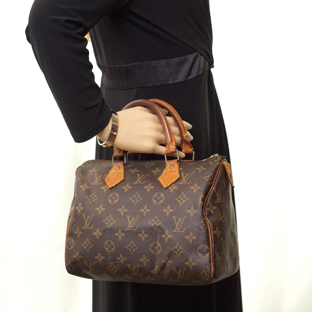Louis Vuitton Speedy 25 Satchel Bag