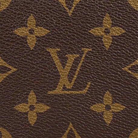 Louis Vuitton SPEEDY 25