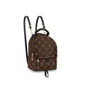 Louis Vuitton PALM SPRINGS MINI